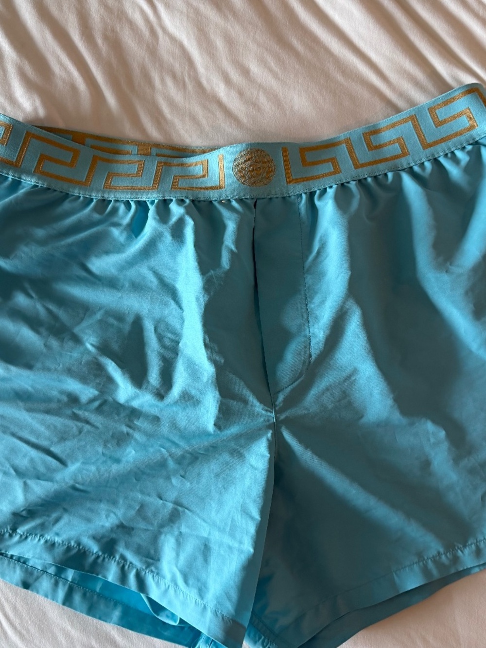Versace Greca Border Swim Shorts